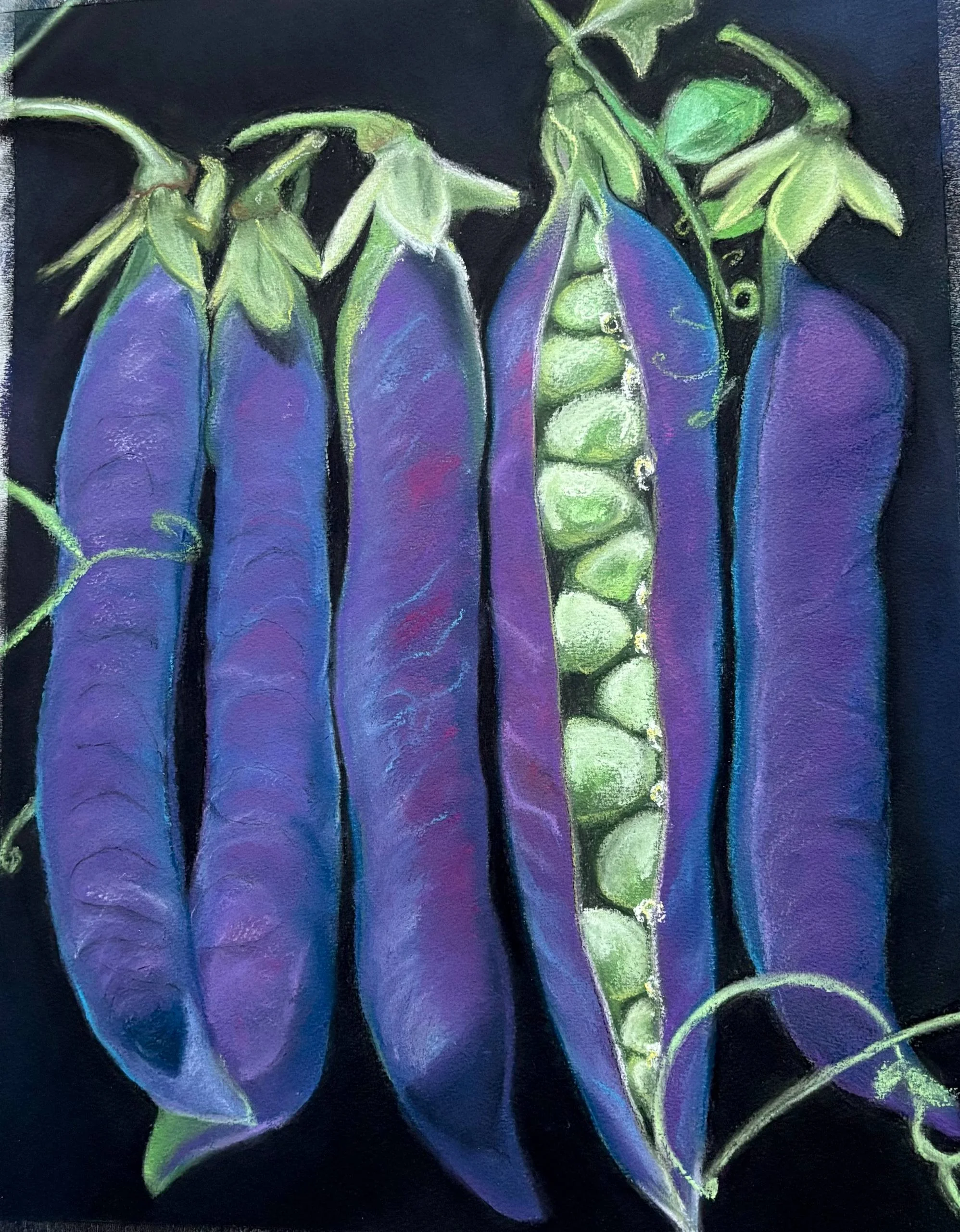 Deep purple pea pods with bright green peas on dark ground