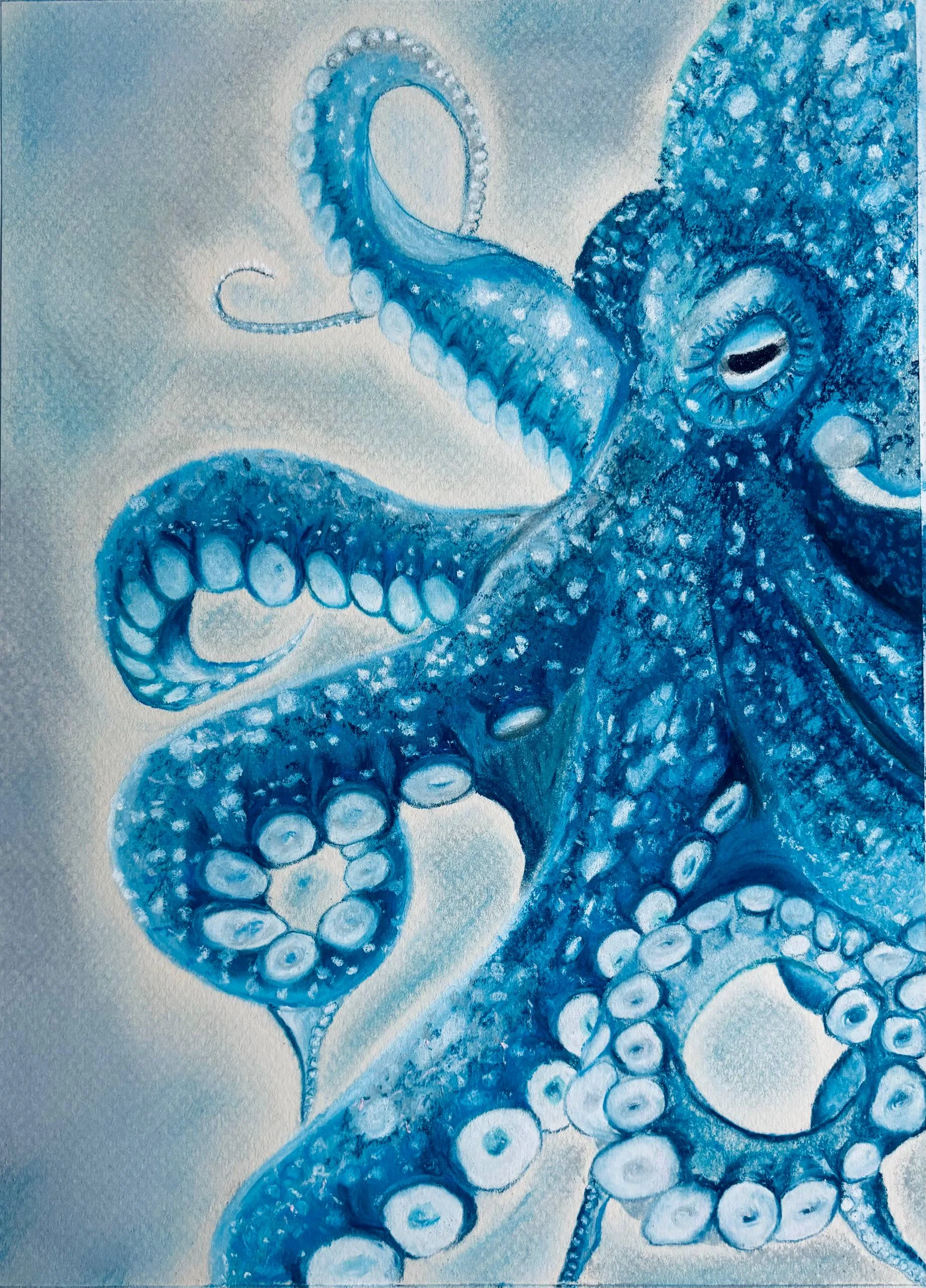 Blue octopus with curling tentacles and visible suckers