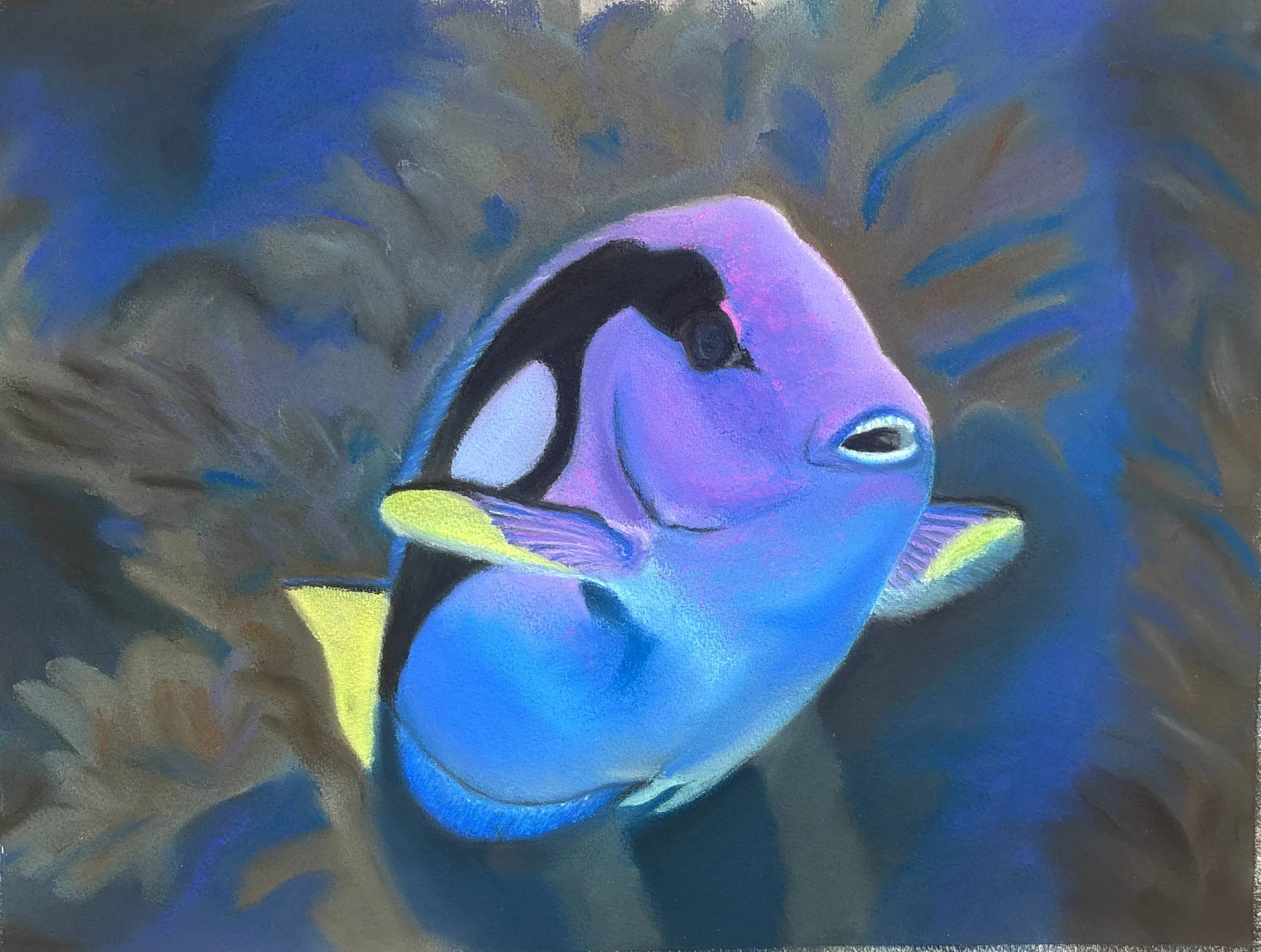 Colorful reef fish with purple, blue and yellow fins